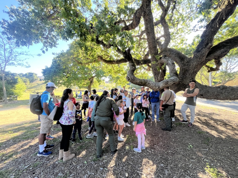Community Events